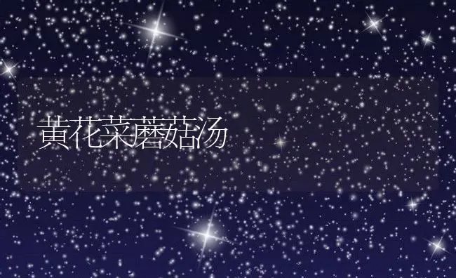 黄花菜蘑菇汤 | 养殖资料投稿
