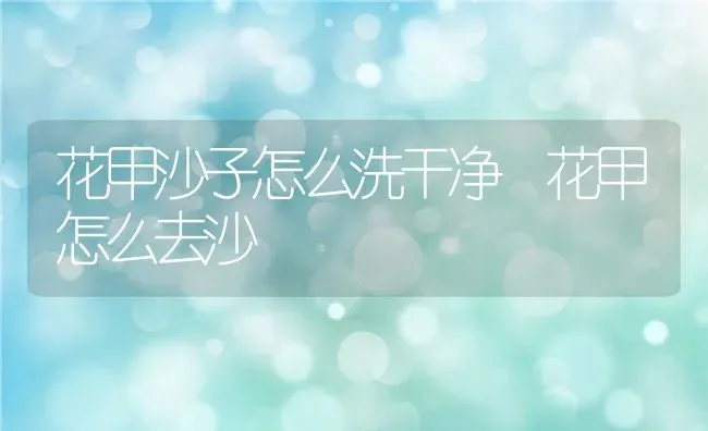 花甲沙子怎么洗干净 花甲怎么去沙 | 养殖资料投稿