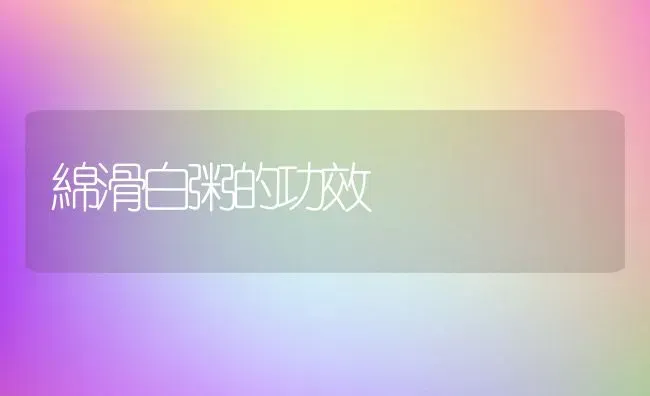 綿滑白粥的功效 | 养殖资料投稿