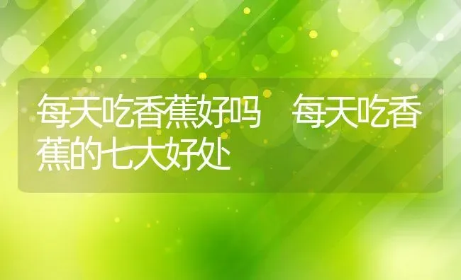 每天吃香蕉好吗 每天吃香蕉的七大好处 | 养殖资料投稿