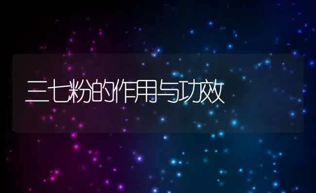 三七粉的作用与功效 | 养殖资料投稿