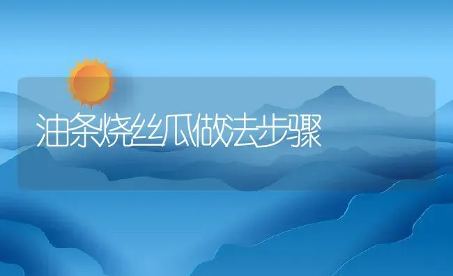 油条烧丝瓜做法步骤 | 养殖资料投稿