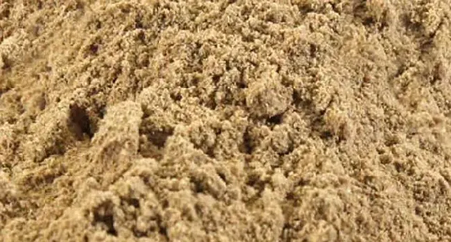 菊花粉的副作用有哪些