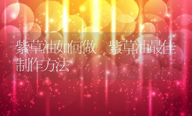 紫草油如何做 紫草油最佳制作方法 | 养殖资料投稿