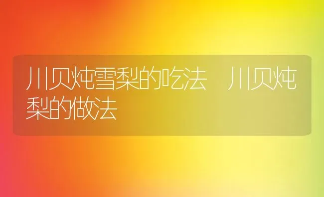 川贝炖雪梨的吃法 川贝炖梨的做法 | 养殖资料投稿