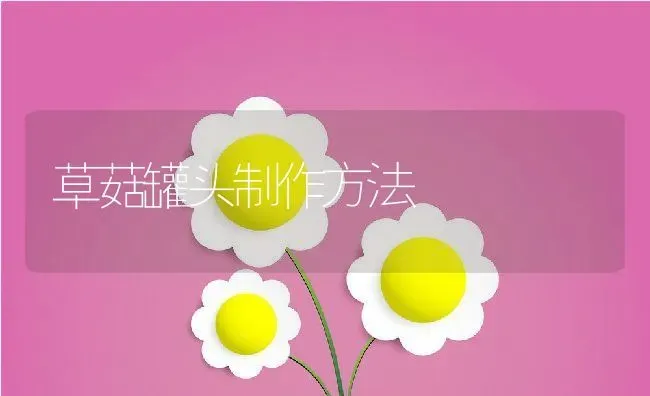 草菇罐头制作方法 | 养殖资料投稿