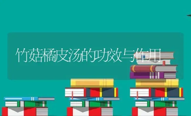竹菇橘皮汤的功效与作用 | 养殖资料投稿