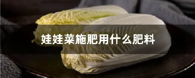 娃娃菜施肥用什么肥料