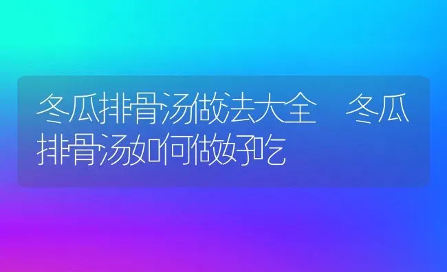 冬瓜排骨汤做法大全 冬瓜排骨汤如何做好吃 | 养殖资料投稿