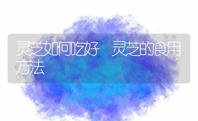 灵芝如何吃好 灵芝的食用方法 | 养殖资料投稿