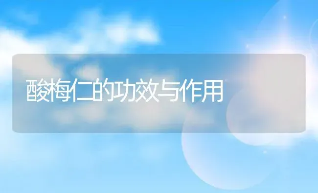 酸梅仁的功效与作用 | 养殖资料投稿