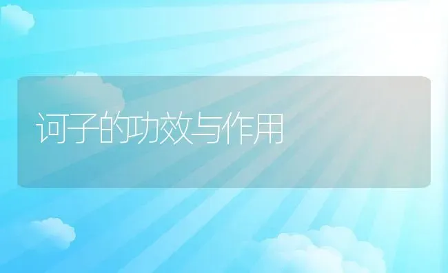 诃子的功效与作用 | 养殖资料投稿