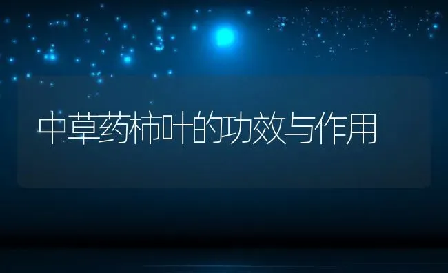 中草药柿叶的功效与作用 | 养殖资料投稿