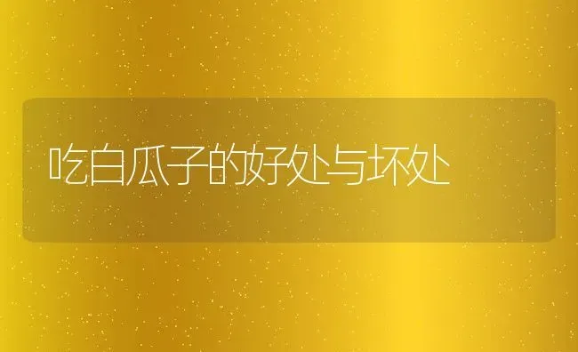 吃白瓜子的好处与坏处 | 养殖资料投稿