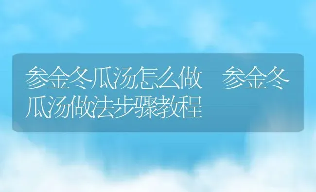 参金冬瓜汤怎么做 参金冬瓜汤做法步骤教程 | 养殖资料投稿