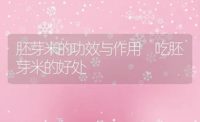 鸡肉芹菜芝麻粥怎么做 鸡肉芹菜芝麻粥的材料和做法 | 养殖资讯