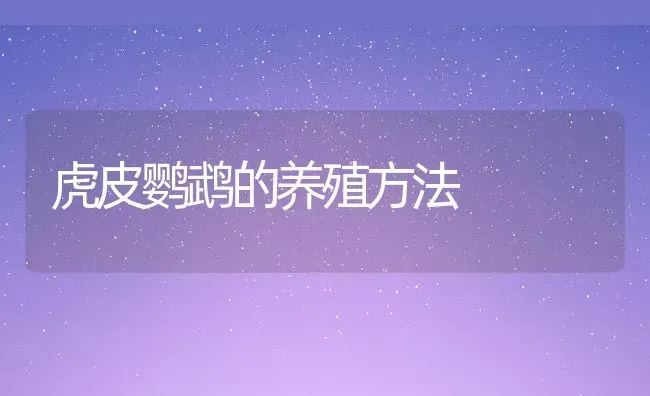 虎皮鹦鹉的养殖方法 | 养殖资料投稿