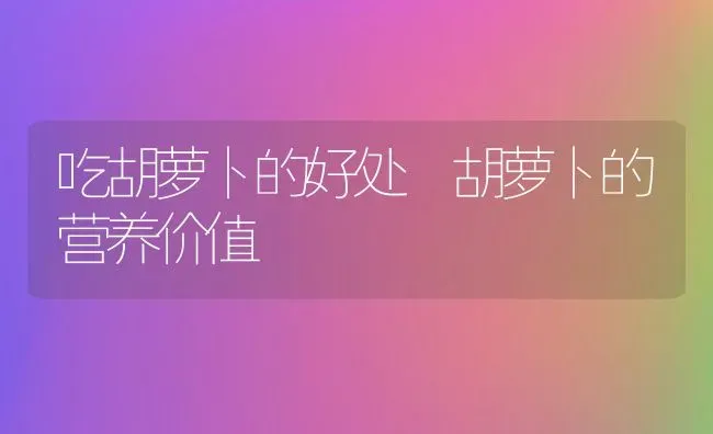 吃胡萝卜的好处 胡萝卜的营养价值 | 养殖资料投稿