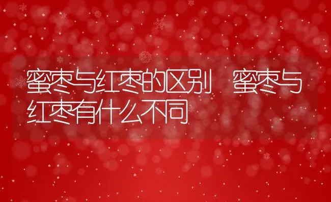 蜜枣与红枣的区别 蜜枣与红枣有什么不同 | 养殖资料投稿