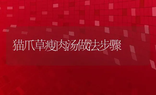 猫爪草瘦肉汤做法步骤 | 养殖资料投稿