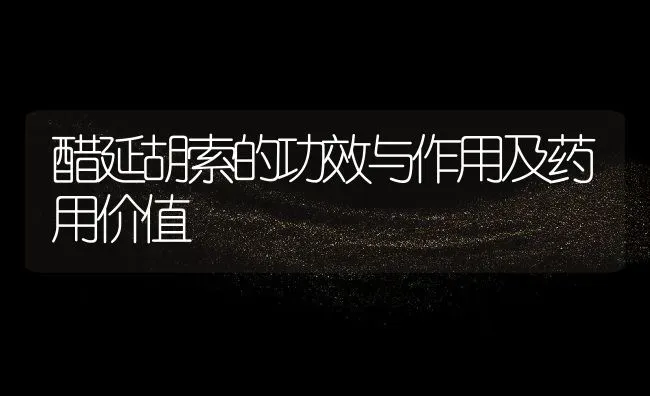 醋延胡索的功效与作用及药用价值 | 养殖资料投稿