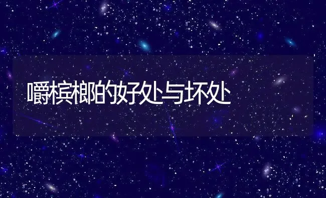 嚼槟榔的好处与坏处 | 养殖资料投稿
