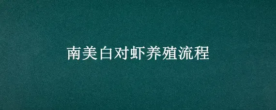 南美白对虾养殖流程