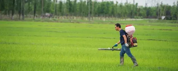 除草剂对土壤的危害有哪些方面