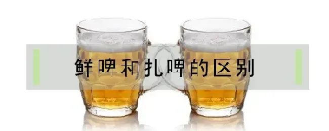 鲜啤和扎啤的区别