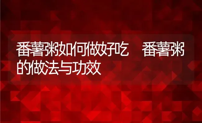 番薯粥如何做好吃 番薯粥的做法与功效 | 养殖资讯