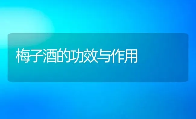 梅子酒的功效与作用 | 养殖资料投稿