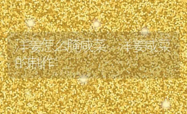洋姜怎么腌咸菜 洋姜咸菜的制作 | 养殖资料投稿