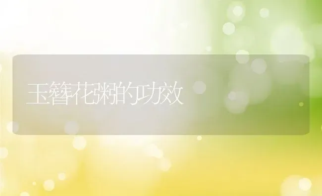 玉簪花粥的功效 | 养殖资料投稿