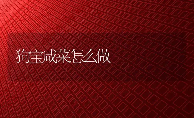 狗宝咸菜怎么做 | 养殖资料投稿