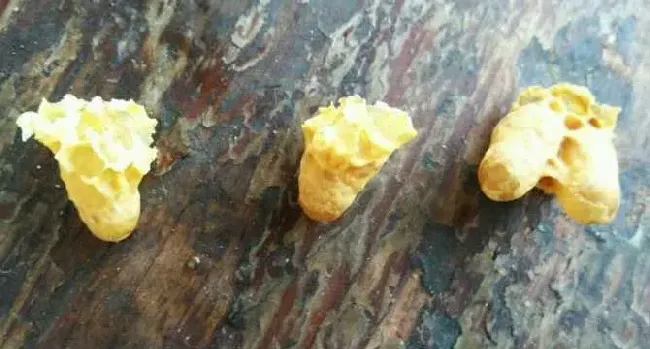 急造王台一般几天封盖？