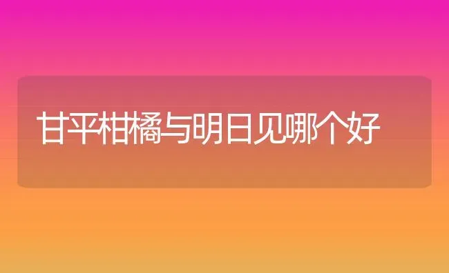 甘平柑橘与明日见哪个好 | 养殖资讯