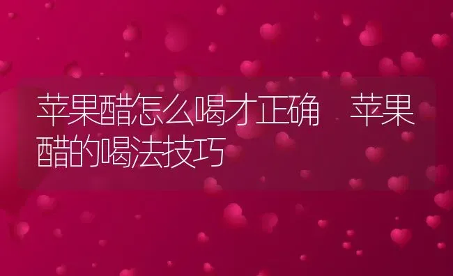 苹果醋怎么喝才正确 苹果醋的喝法技巧 | 养殖资料投稿