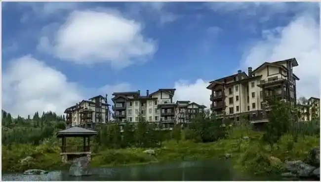 农村适合做什么生意?什么生意赚钱 | 热门养殖项目