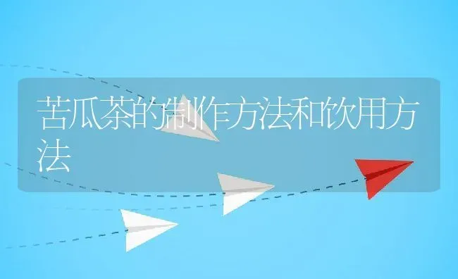 苦瓜茶的制作方法和饮用方法 | 养殖资料投稿