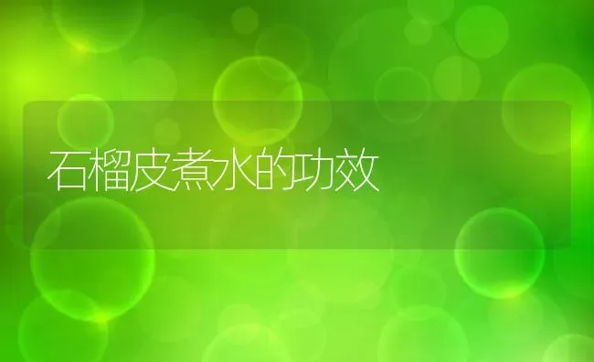 石榴皮煮水的功效 | 养殖资料投稿