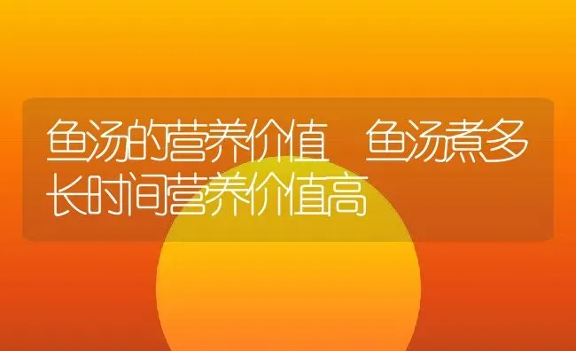 鱼汤的营养价值 鱼汤煮多长时间营养价值高 | 养殖资料投稿