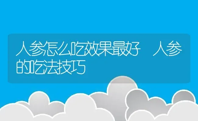 人参怎么吃效果最好 人参的吃法技巧 | 养殖资料投稿