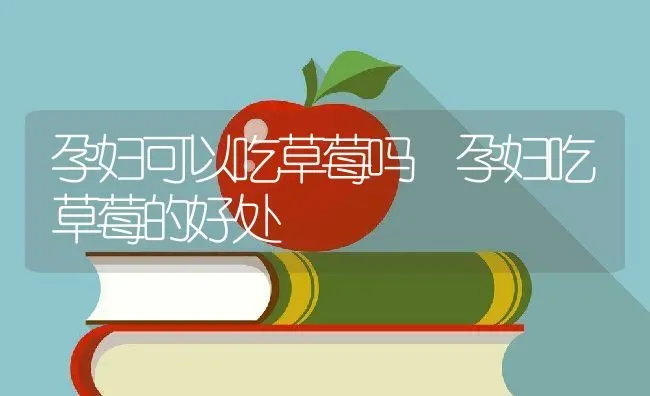 孕妇可以吃草莓吗 孕妇吃草莓的好处 | 养殖资料投稿