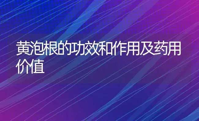 黄泡根的功效和作用及药用价值 | 养殖资料投稿