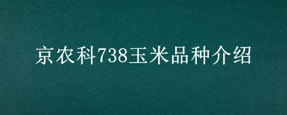 京农科738玉米品种介绍