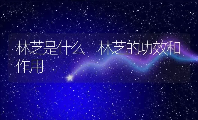 林芝是什么 林芝的功效和作用 | 养殖资料投稿