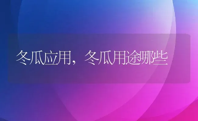 冬瓜应用,冬瓜用途哪些 | 养殖资料投稿