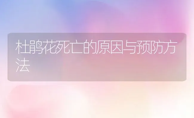杜鹃花死亡的原因与预防方法 | 养殖资料投稿