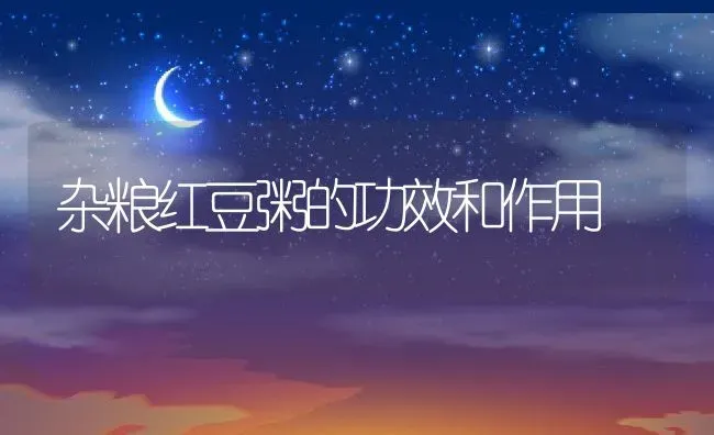 杂粮红豆粥的功效和作用 | 养殖资料投稿