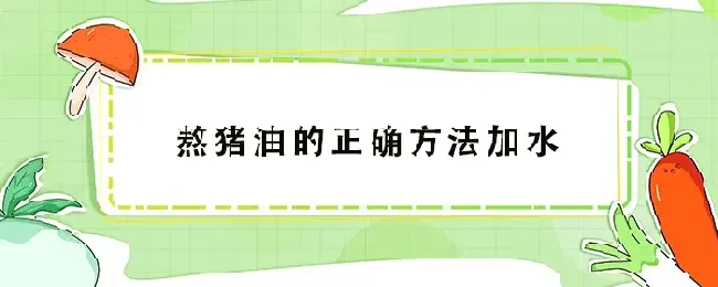 熬猪油的正确方法加水